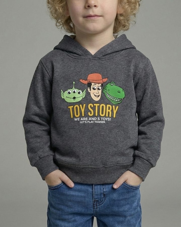 Toy Story Hoodie Dark Grey - Boy (Boxed Characters Back)