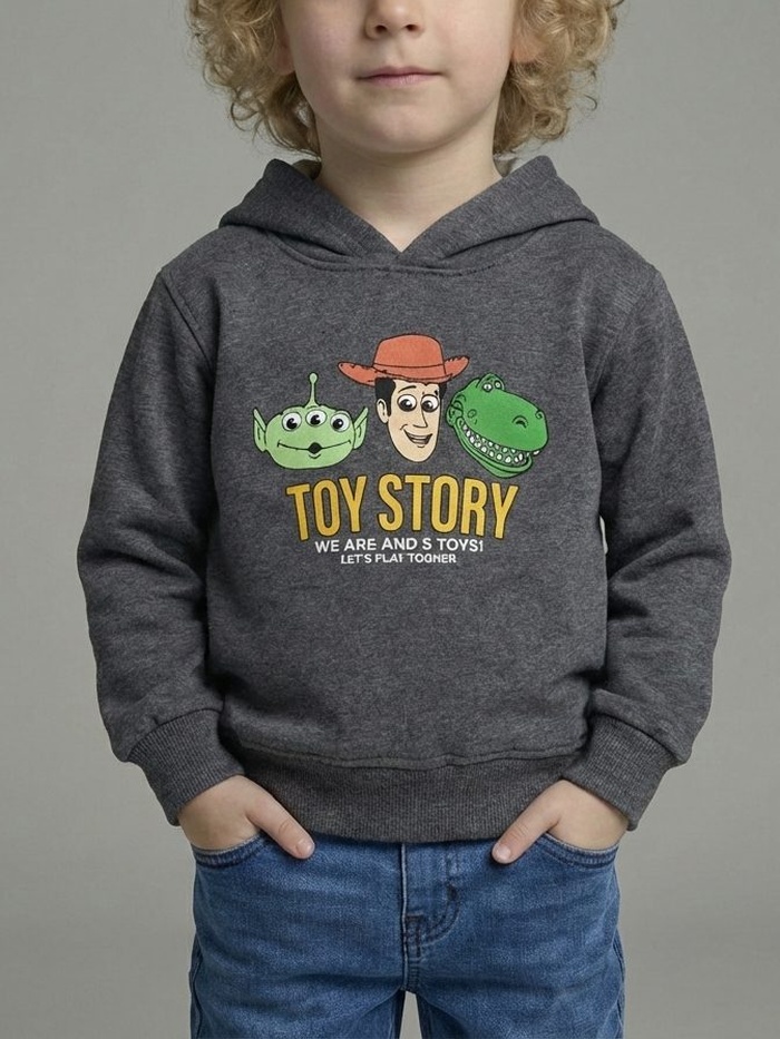 Toy Story Hoodie Dark Grey - Boy (Boxed Characters Back)