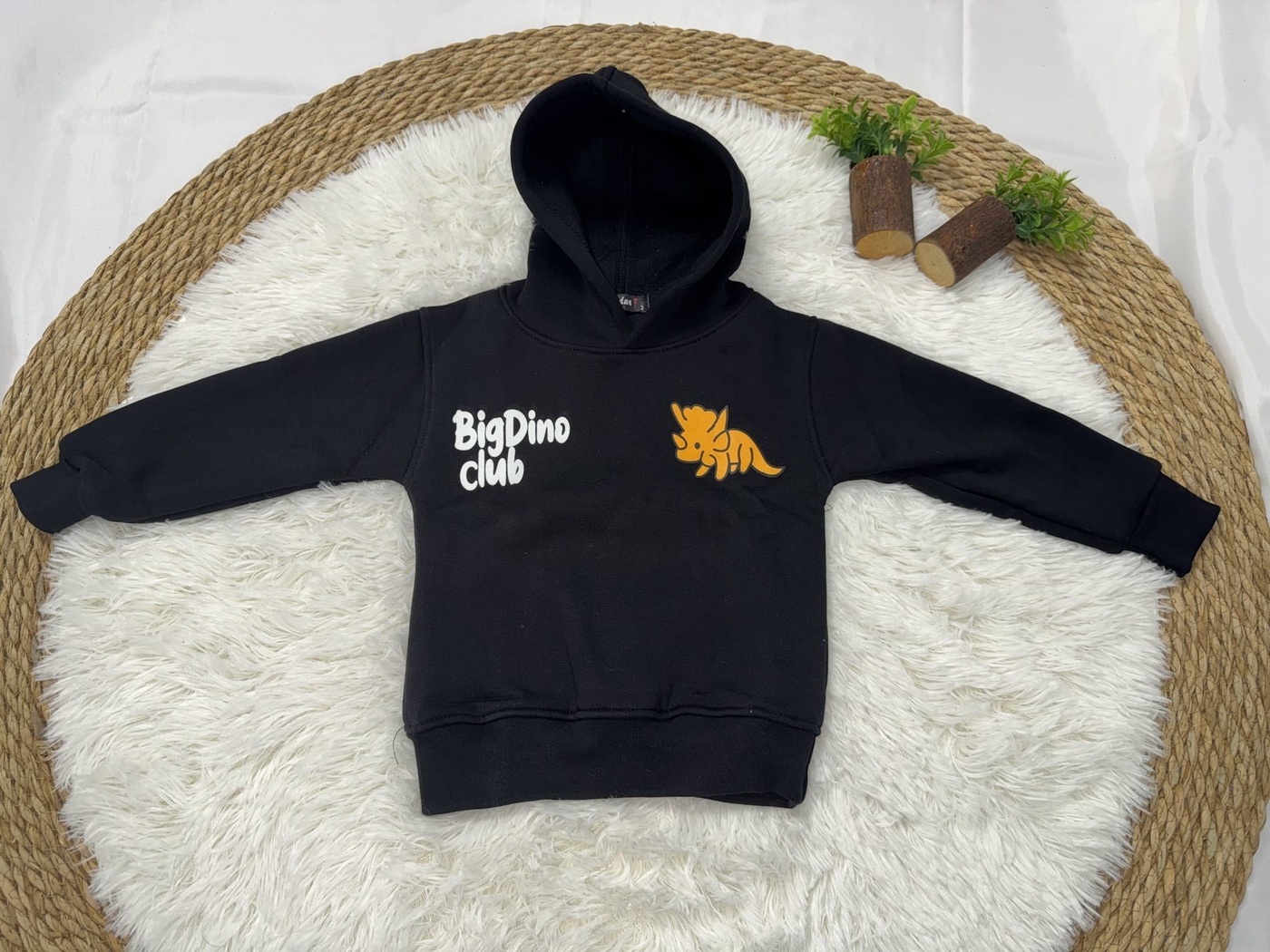 Big Dino Club Hoodie Black - Boy (Science Fair Back Print)